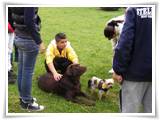 fotografia